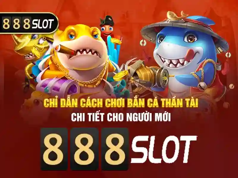 Trải nghiệm người dùng và phản hồi cộng đồng bola tangkas slot 888