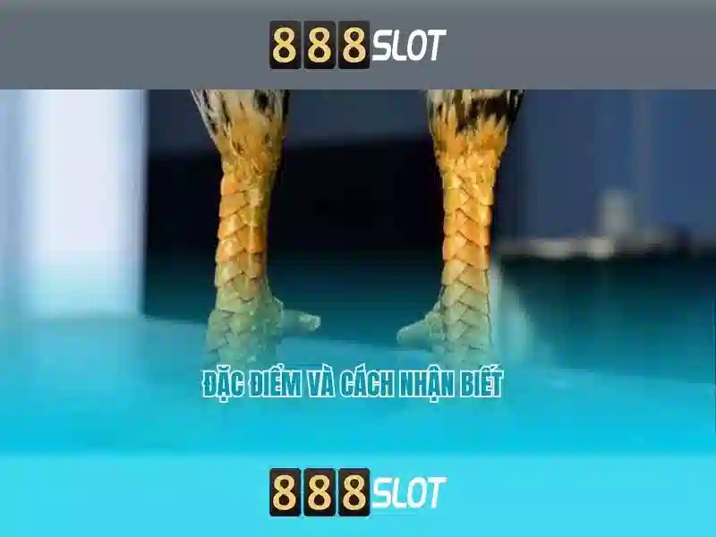 Cốt lõi sản phẩm và dịch vụ