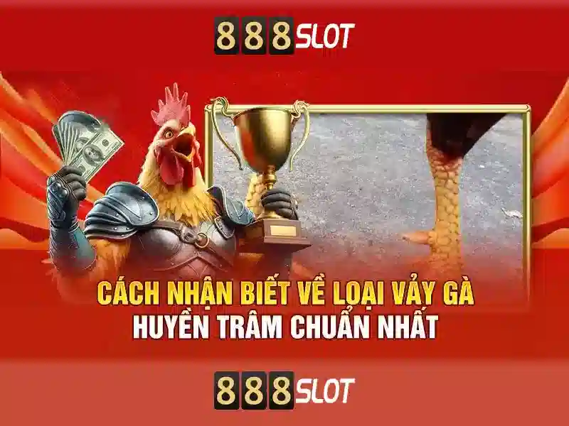 Mẹo chơi và quản lý ngân sách\n<p>Kết luận: 888slot mang đến trải nghiệm slot trực tuyến lôi cuốn và an toàn cho người chơi ở nhiều cấp độ khác nhau.</p>