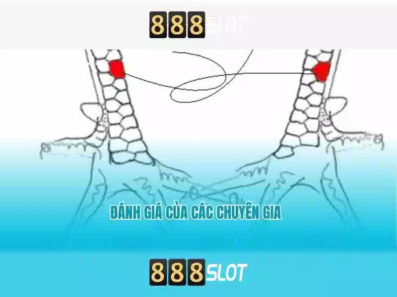 Đăng Nhập