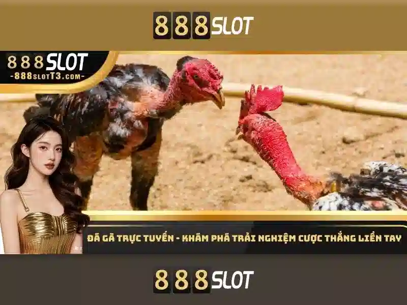 888slot - Nền tảng slot trực tuyến đáng tin cậy 888slot - Nền tảng slot trực tuyến đáng tin cậy