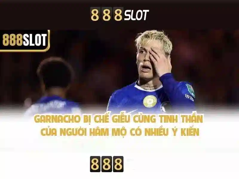 Trải nghiệm người dùng và phản hồi cộng đồng