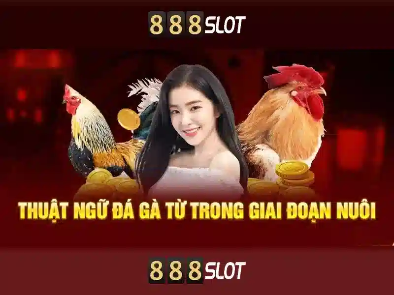 Đăng Nhập