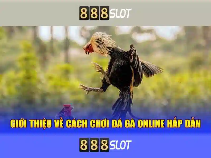 Kết luận
