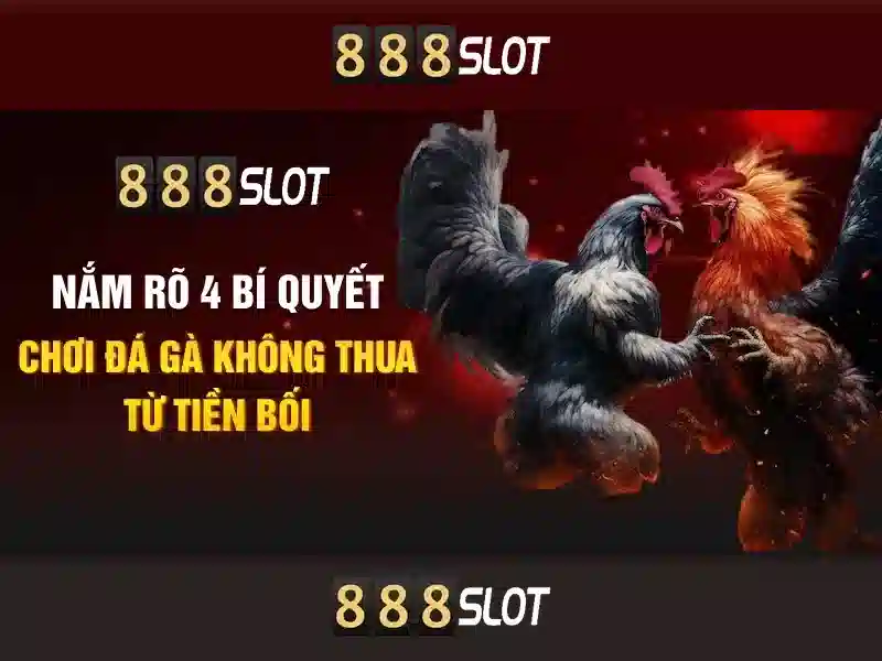 Cộng đồng người chơi và khuyến mãi