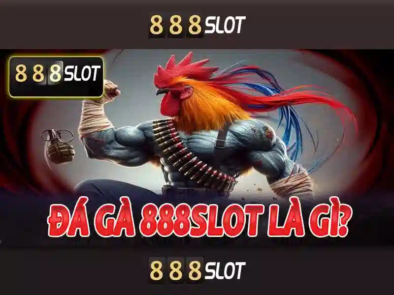 Kết luận và lời khuyên