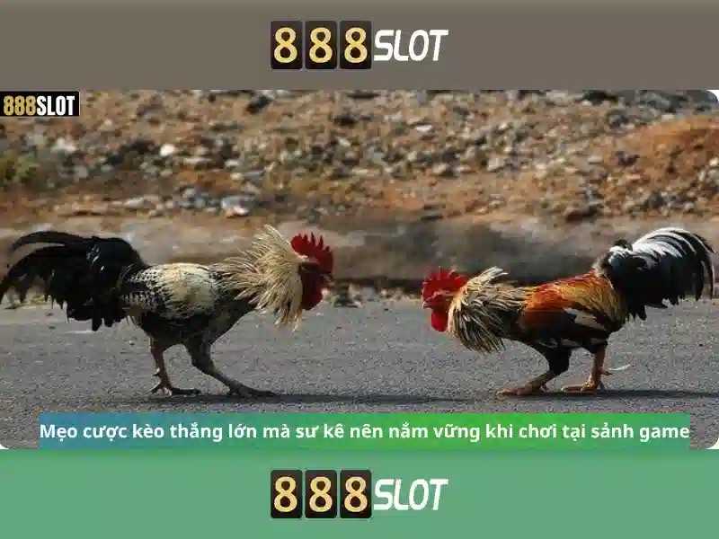 Tổng quan chủ đề và giá trị cốt lõi Tổng quan chủ đề và giá trị cốt lõi