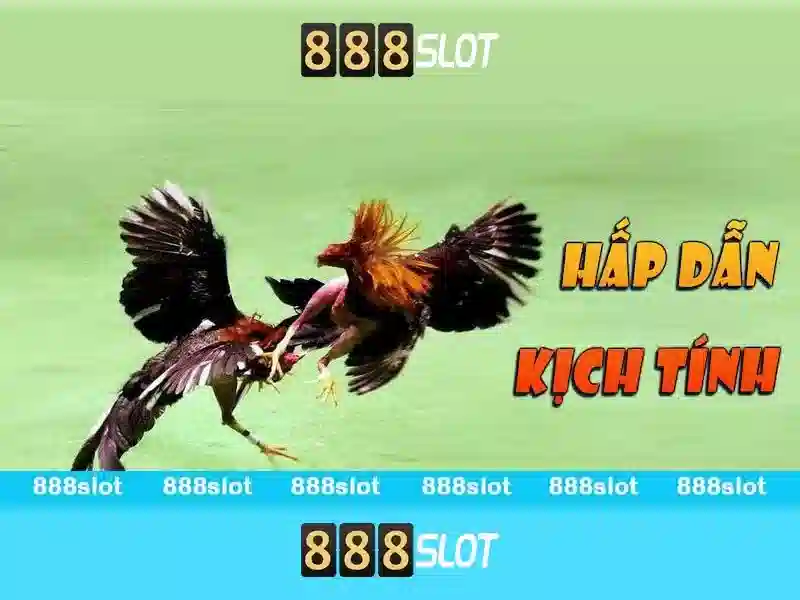 Điểm nổi bật của 888slot Điểm nổi bật của 888slot