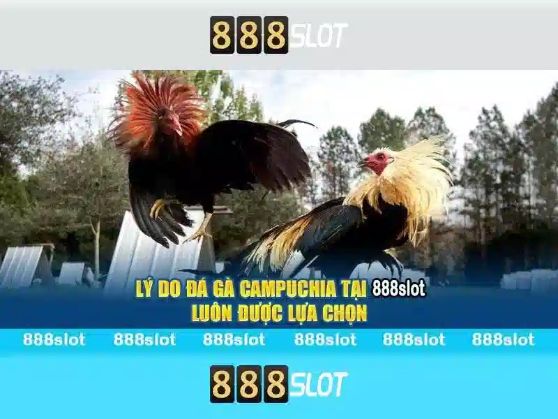 Các trò chơi slot phổ biến Các trò chơi slot phổ biến