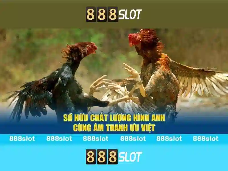 Danh mục trò chơi\n<p>888slot cung cấp hàng trăm máy slot video, slot jackpot progressives, cùng các tựa game bingo và mini games từ các nhà phát triển uy tín. Người chơi có thể lọc theo chủ đề, tính năng và mức cược để tìm game phù hợp với phong cách của mình.</p>\n\n<h2>An toàn và thanh toán</h2>\n<p>Trang web này cam kết an toàn cho người chơi với chứng chỉ mã hoá SSL, ngăn chặn gian lận và bảo vệ tài khoản. Các phương thức thanh toán phổ biến như thẻ tín dụng, ví điện tử và chuyển khoản ngân hàng được hỗ trợ với thời gian xử lý nhanh và bảo mật cao.</p>\n\n<h2>Trải nghiệm trên di động</h2>\n<p>888slot được tối ưu hóa cho điện thoại và máy tính bảng, cho phép người chơi trải nghiệm mượt mà ở mọi kích thước màn hình. Bạn có thể chơi ngay trên trình duyệt hoặc tải ứng dụng (nếu có).</p>