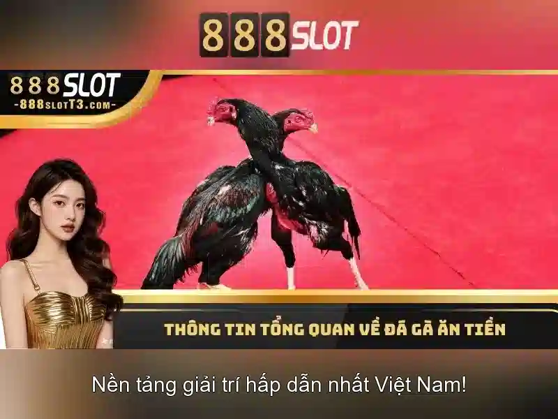 888Slot - Nền tảng trò chơi trực tuyến hàng đầu dành cho người chơi Việt Go88