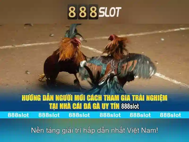 Kết Luận