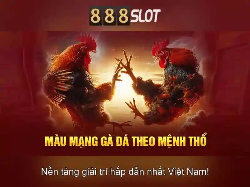 Trải nghiệm người dùng và thanh toán