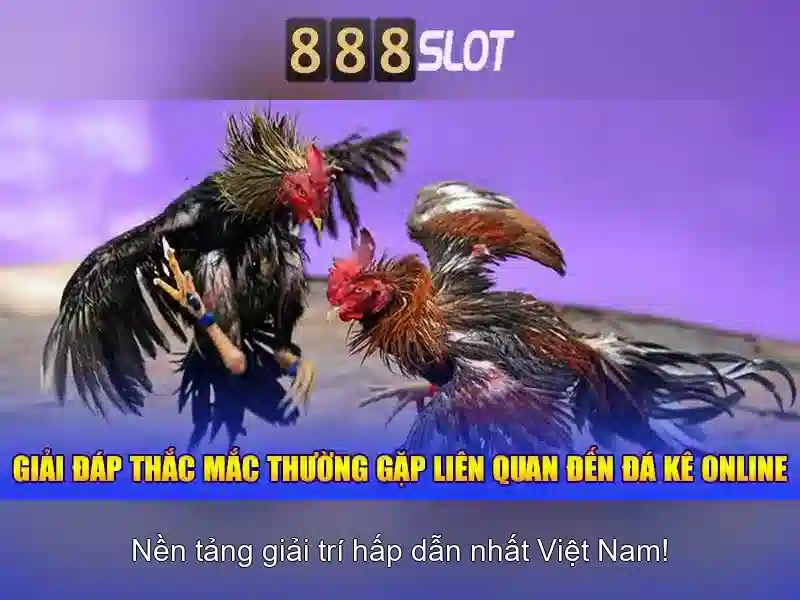 Giới thiệu về 888slot