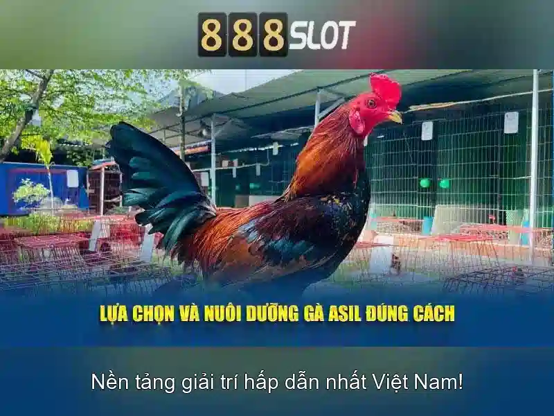 An toàn và bảo mật An toàn và bảo mật