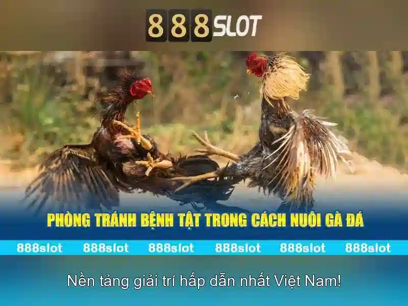 Đăng Nhập